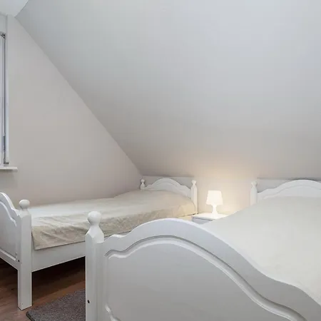 Papillon 05-8 博尔滕哈根